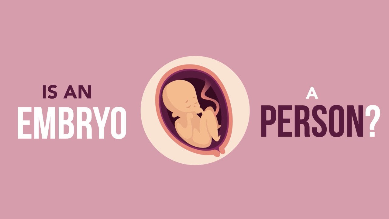 Is an Embryo a Person? | When Does Life Begin?