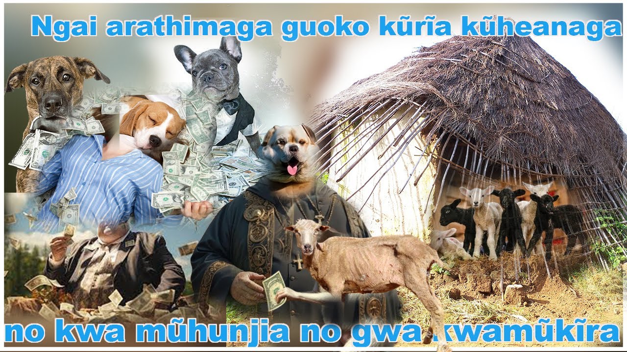soko mjinga Ngai arathimaga guoko kũrĩa kũheanaga no kwa mũhunjia no gwa kwamũkĩra part 1