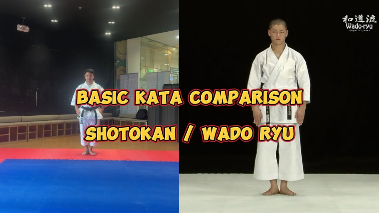 Basic Kata Differences: Shotokan Karate vs Wado Ryu Karate