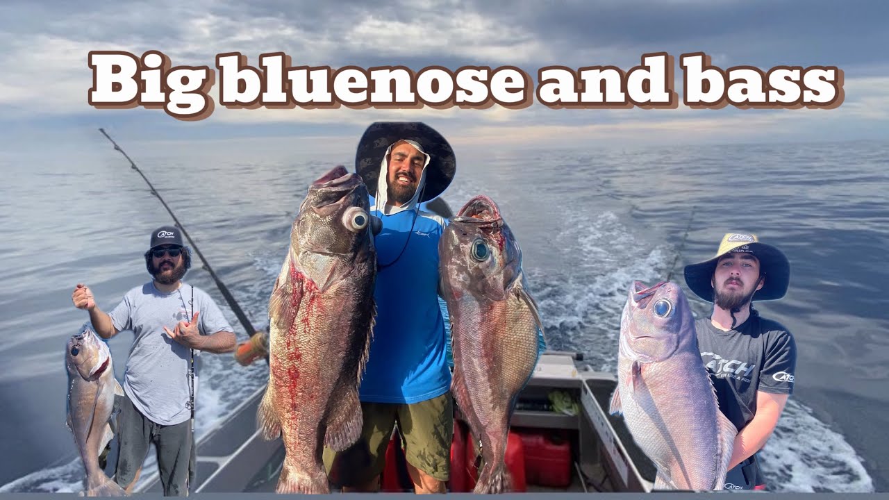 Deep dropping for bluenose and bass in New Zealand