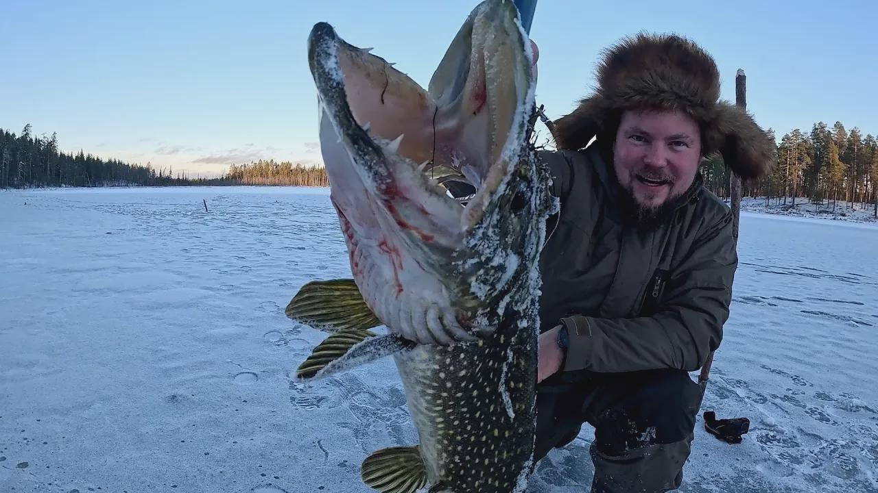 Coloqué mis trampas sobre el primer hielo en un lago de la sierra y ¡saqué un trofeo increíble!
