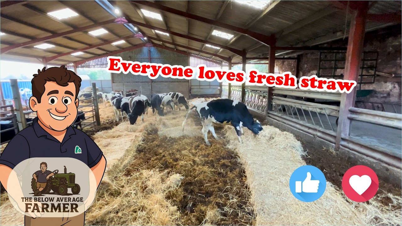 EVERYONE LOVES FRESH STRAW