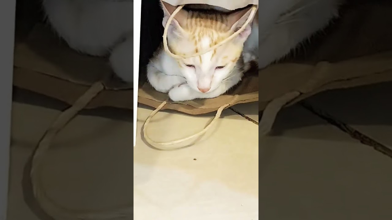 #my