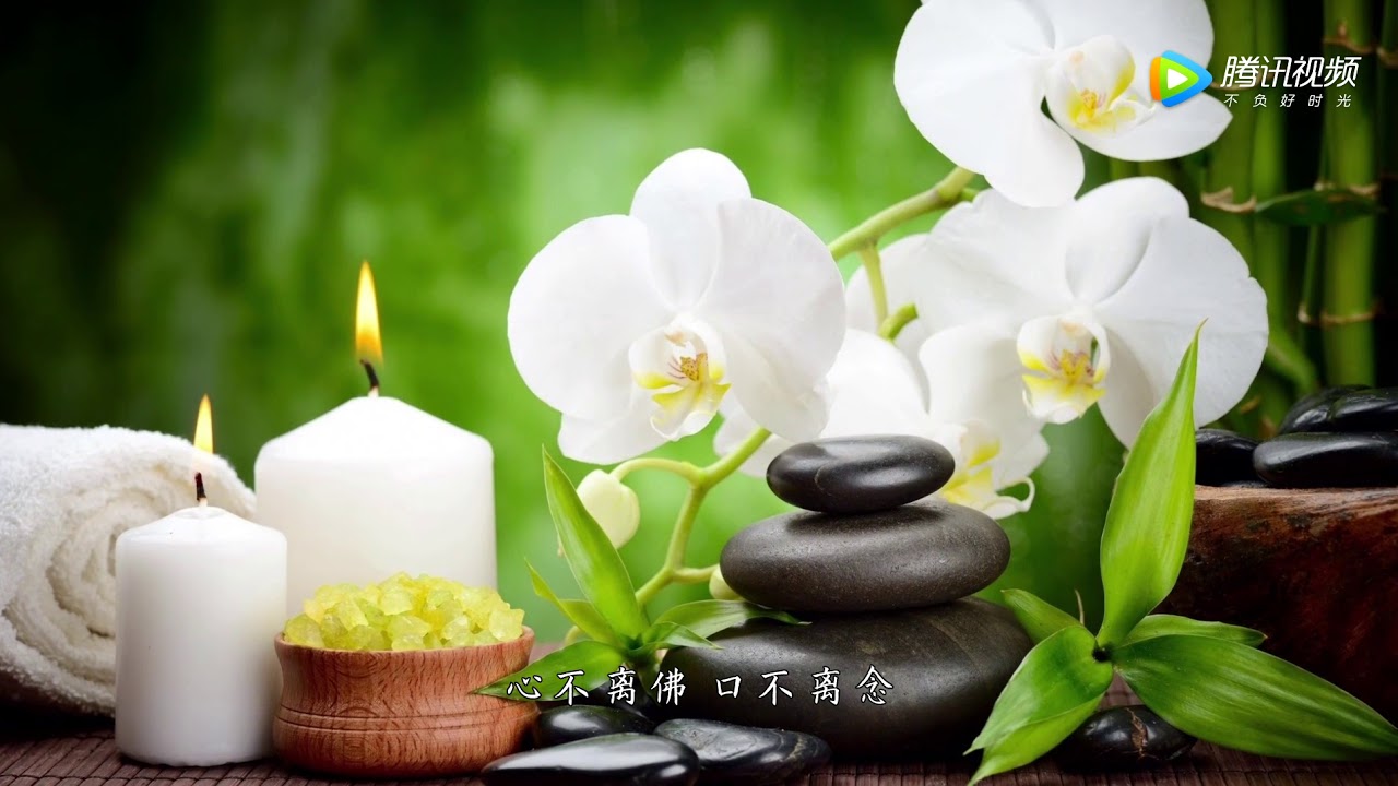 念念彌陀 印良法師演唱