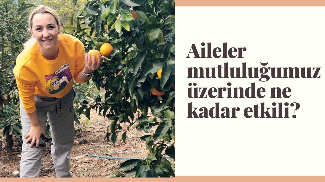 Eş seçimi/ Aileler ve arkadaş çevresi mutluluğumuz üzerinde ne kadar etkili?