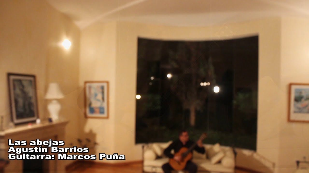 LAS ABEJAS (Agustín Barrios) | Marcos Puña, guitarra