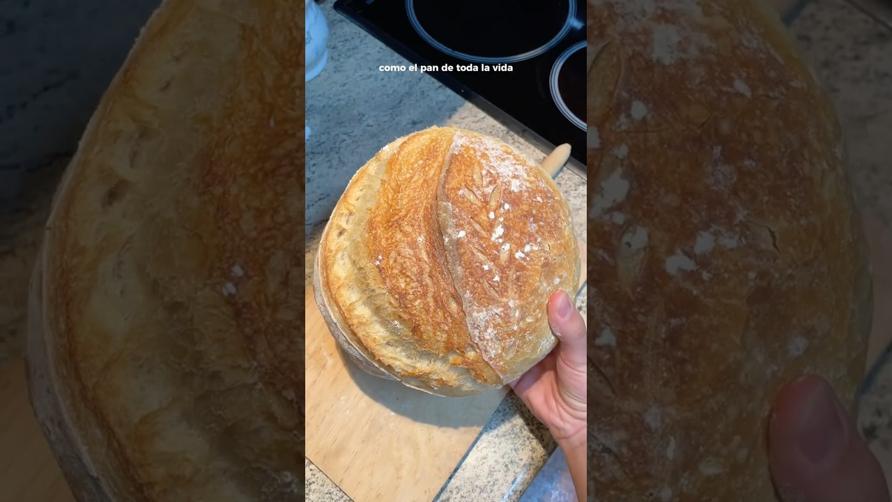Pan de masa madre desde cero🥖