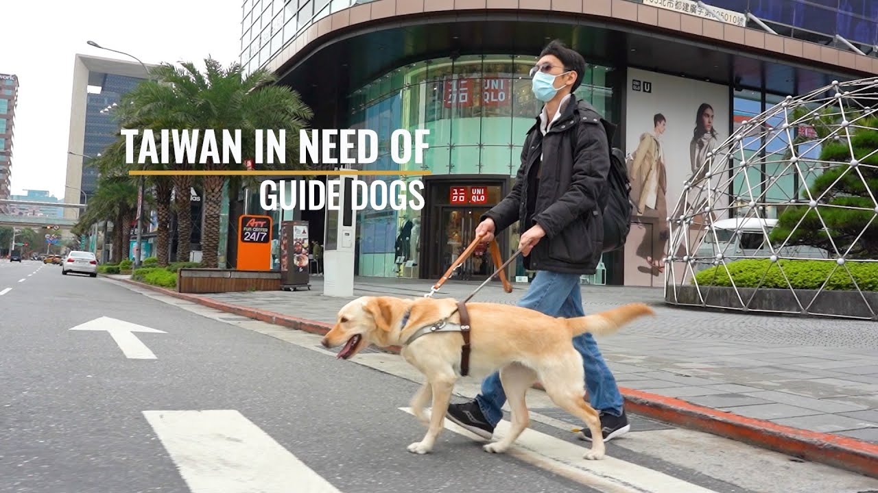 Taiwan in Need of Guide Dogs