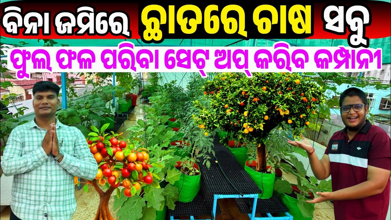 Low Price No Land Farming Roof Top Garden setup Fruit Vegetable Flower Odisha Pratistha Life Care