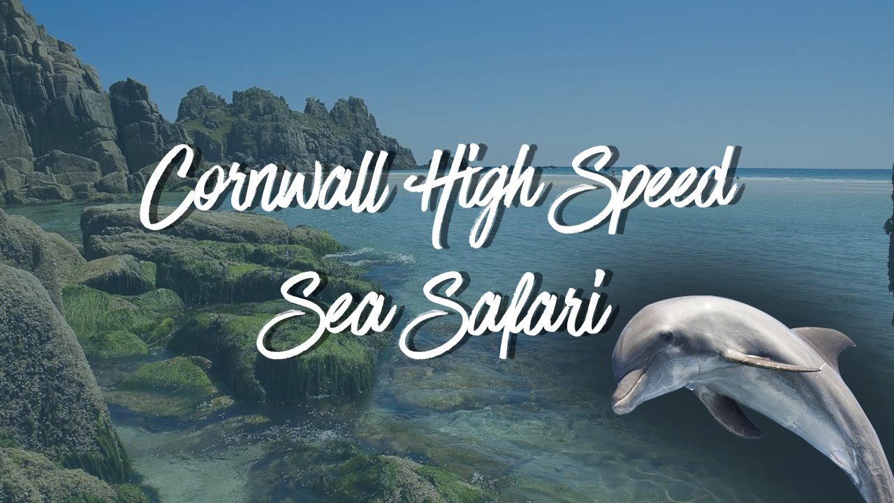 High Speed Sea Safari -Cornwall
