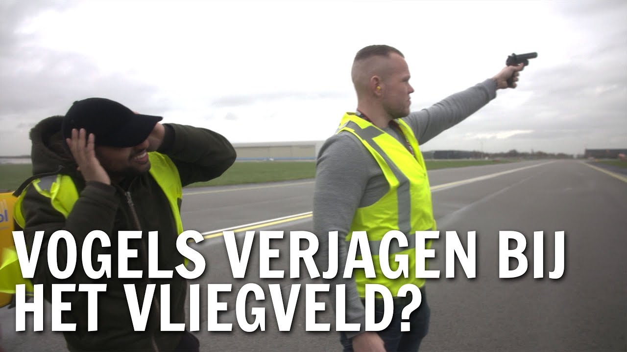 Hoe verjagen ze vogels bij het vliegveld? | De Buitendienst over Trekvogels