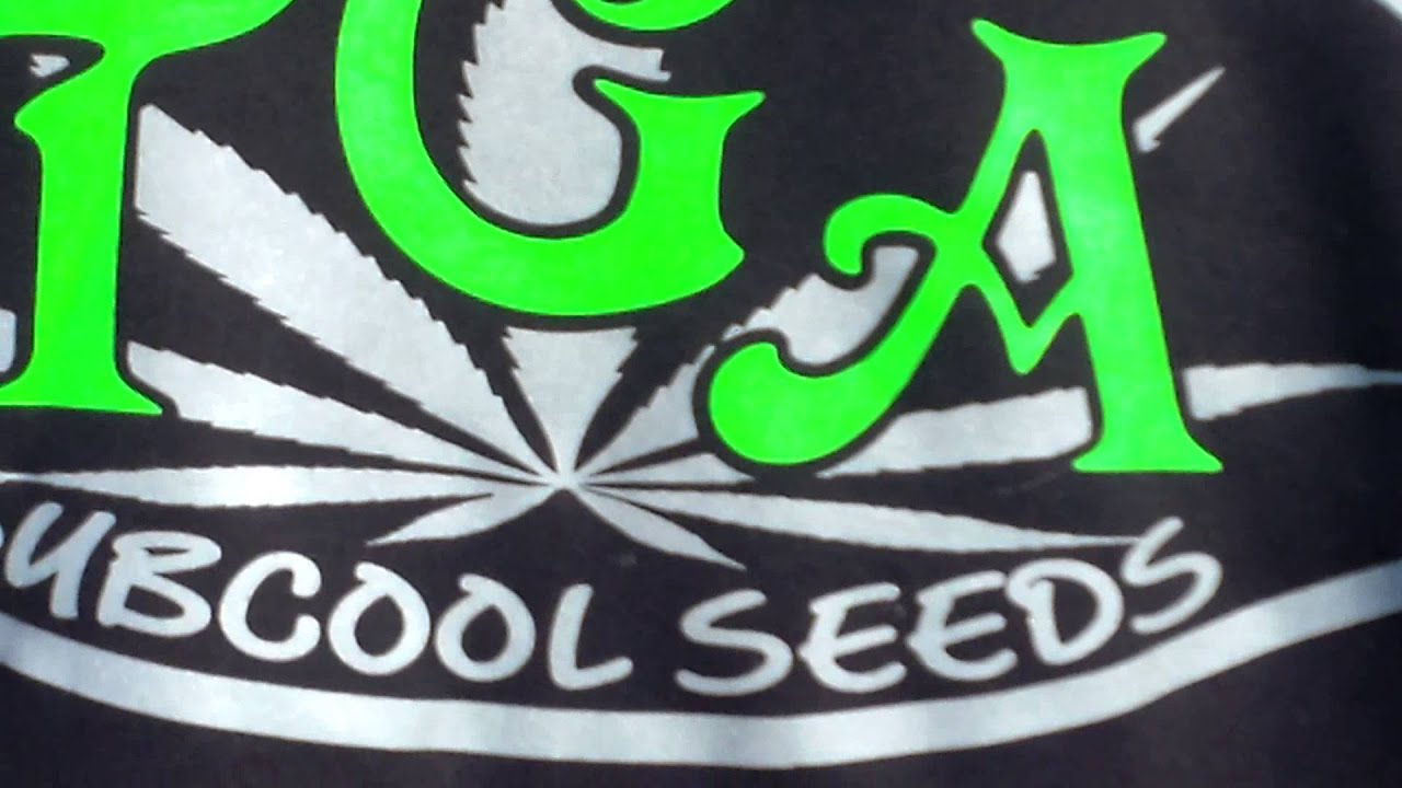 TGA seeds  Harrys Hill 2015