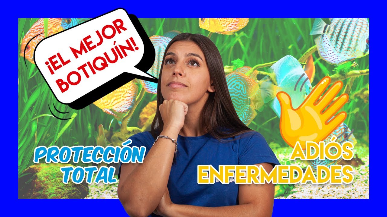 Los mejores MEDICAMENTOS para tus PECES - Botiquín esencial  💉