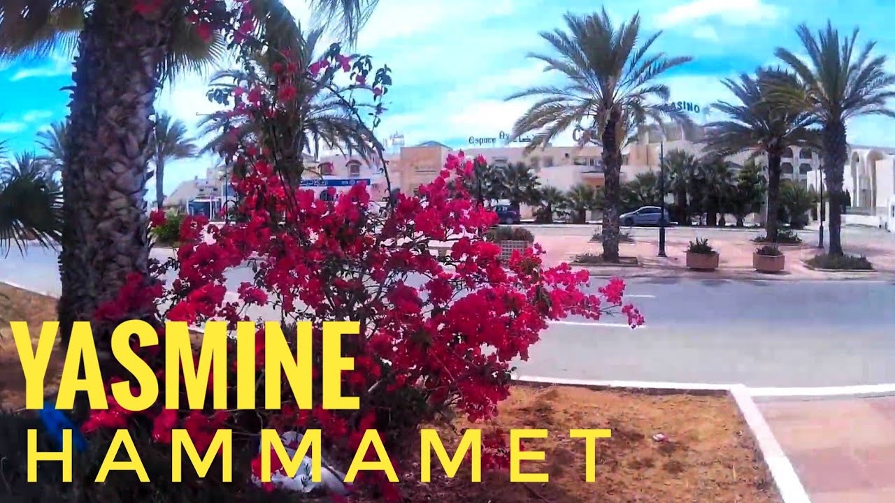 🇹🇳Yasmine  Hammamet, Tunisia