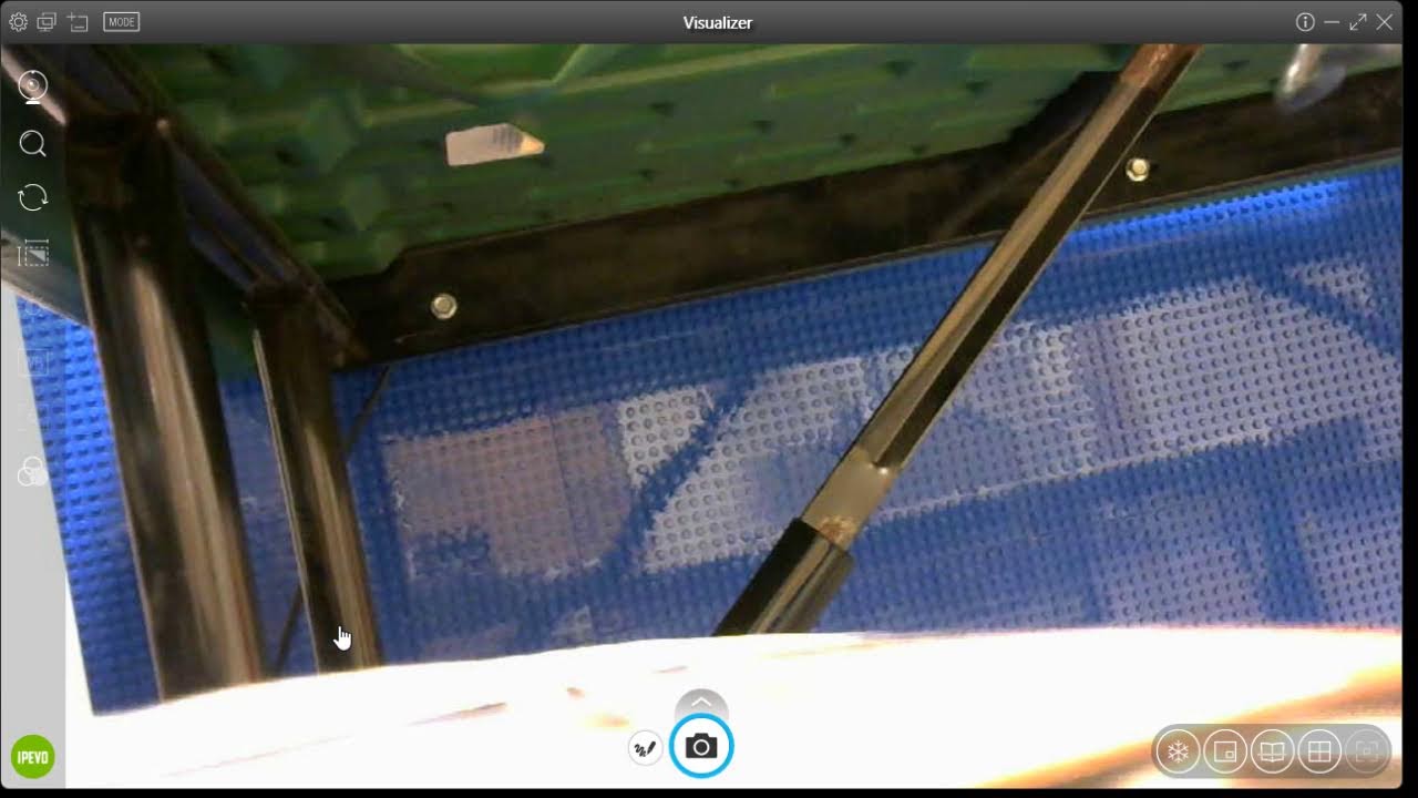 Live Eggs Hatching!