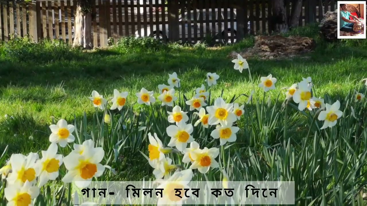 মিলন হবে কত দিনে কন্ঠে সাগরিকা এবং অনামিকা ঘোষ। #লোকগান #বাউলগান #তবলাকভার #ভাইরালভিডিও #শুভসকাল 