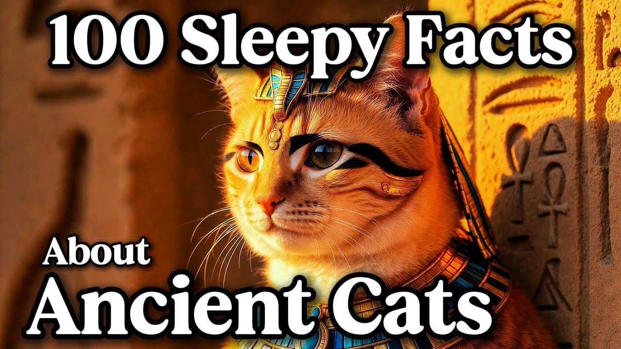 100 Sleepy Facts About Ancient Cats — Fall Asleep to History
