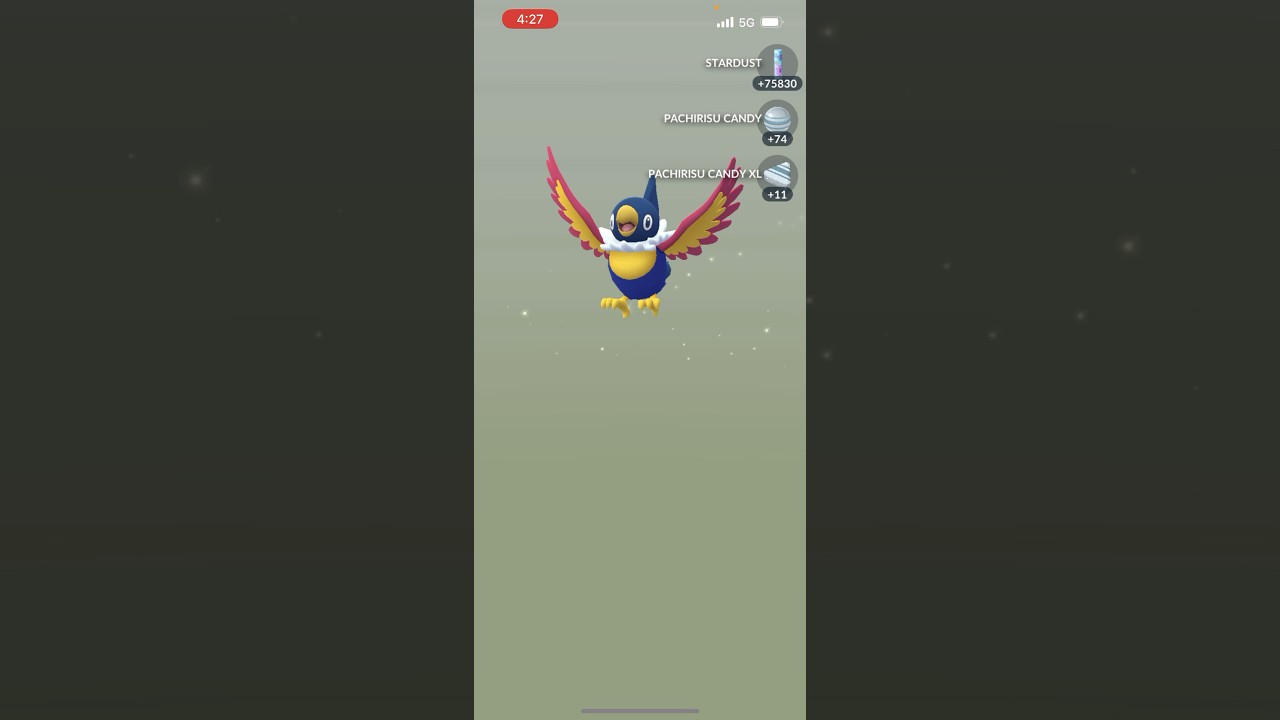 ✨*NEW* Shiny Chatot HATCHED In Pokemon Go!✨ #pokemon #shorts