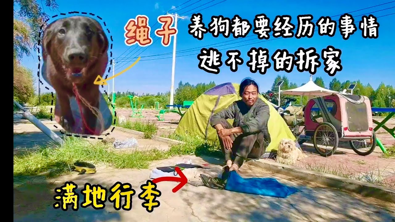 小黑狗一早拆家玩消失，回来后脖子套着绳，晚上煮大餐一起吃  ｜流浪生活 ｜樂浪星