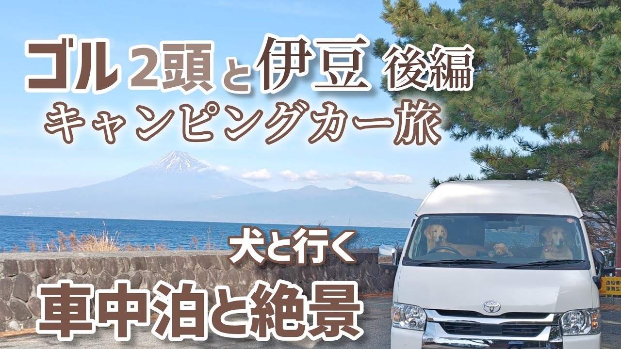 独身中年と2頭のゴル【キャンピングカー初心者】伊豆旅行 後編