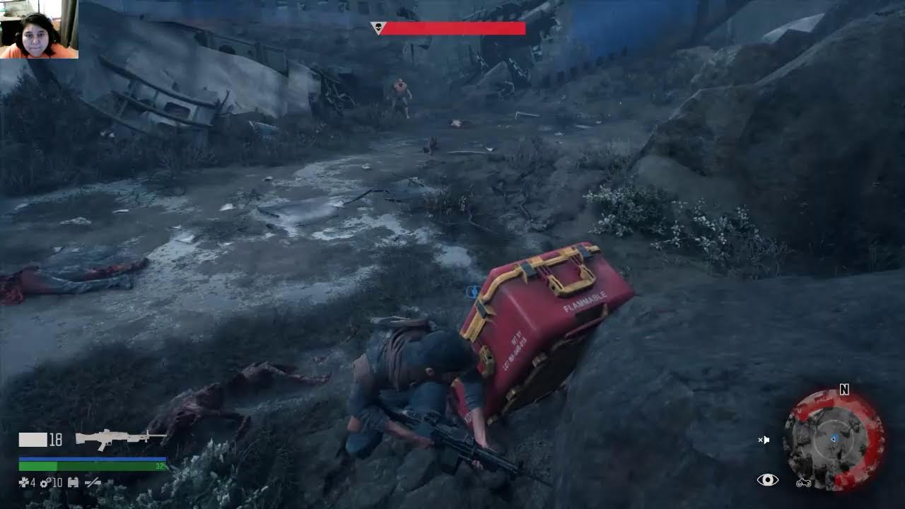 Days Gone