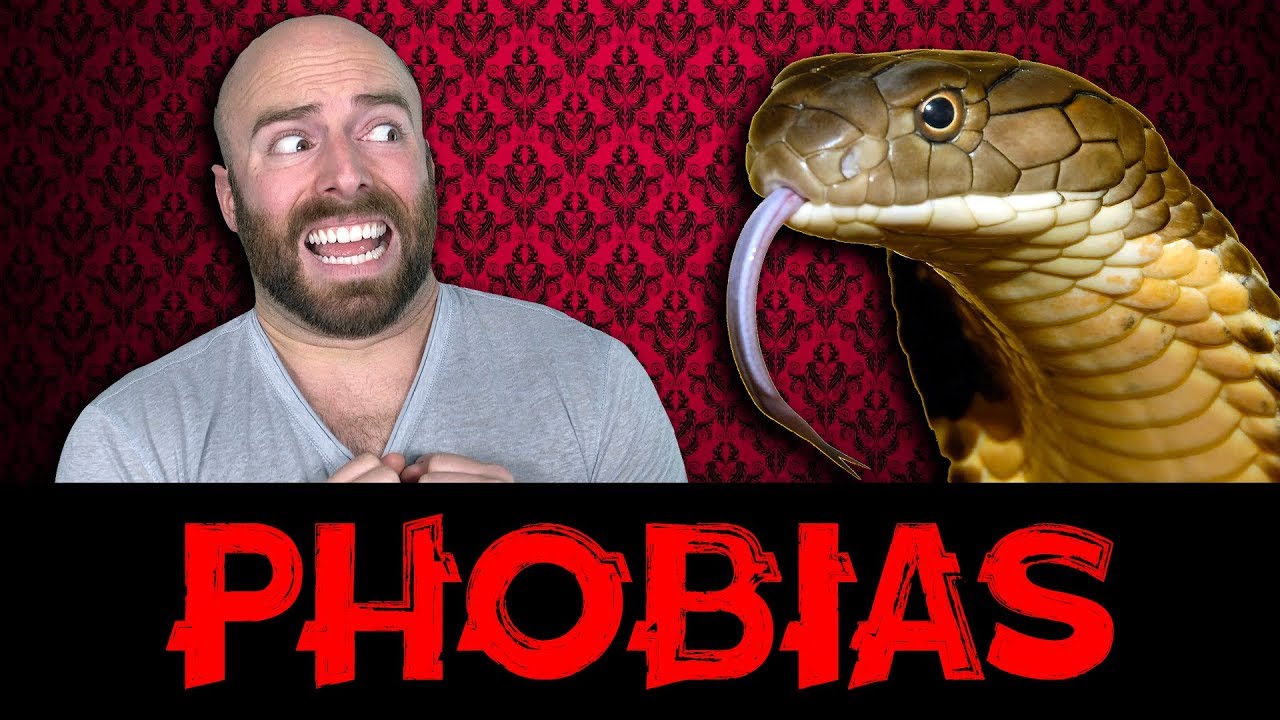 10 Most Common Phobias Explained
