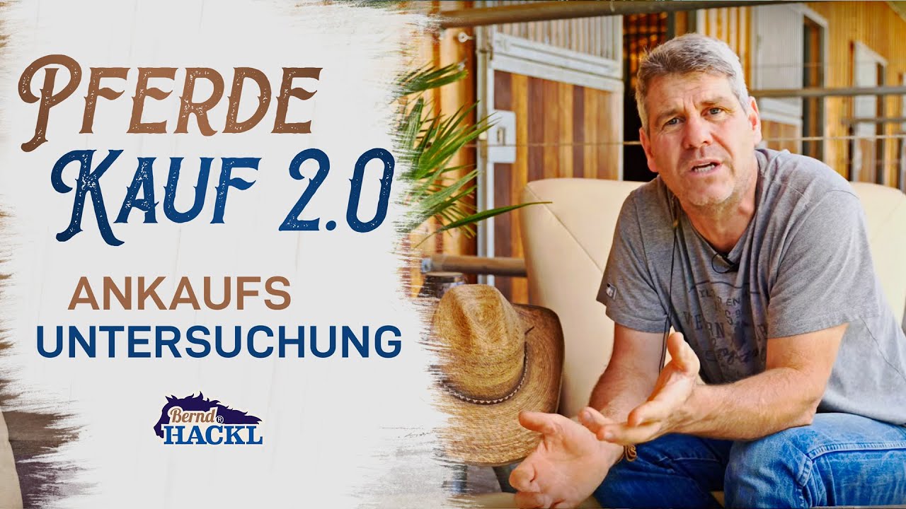 Der Weg zum eigenen Pferd TEIL 2: Ankaufsuntersuchung