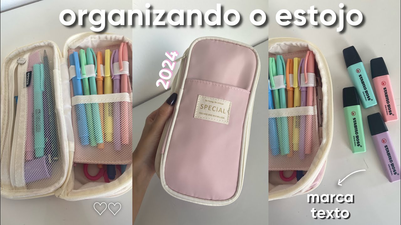 organizando meu ESTOJO para 2024! *arrumando o material escolar*✨