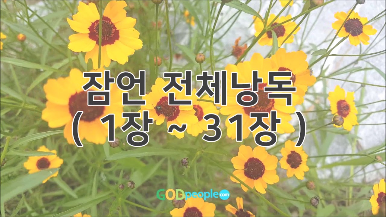 [성경말씀 낭독회] 잠언 전체 입체낭독 The Book of Proverbs Dramatized Bible 성경듣기