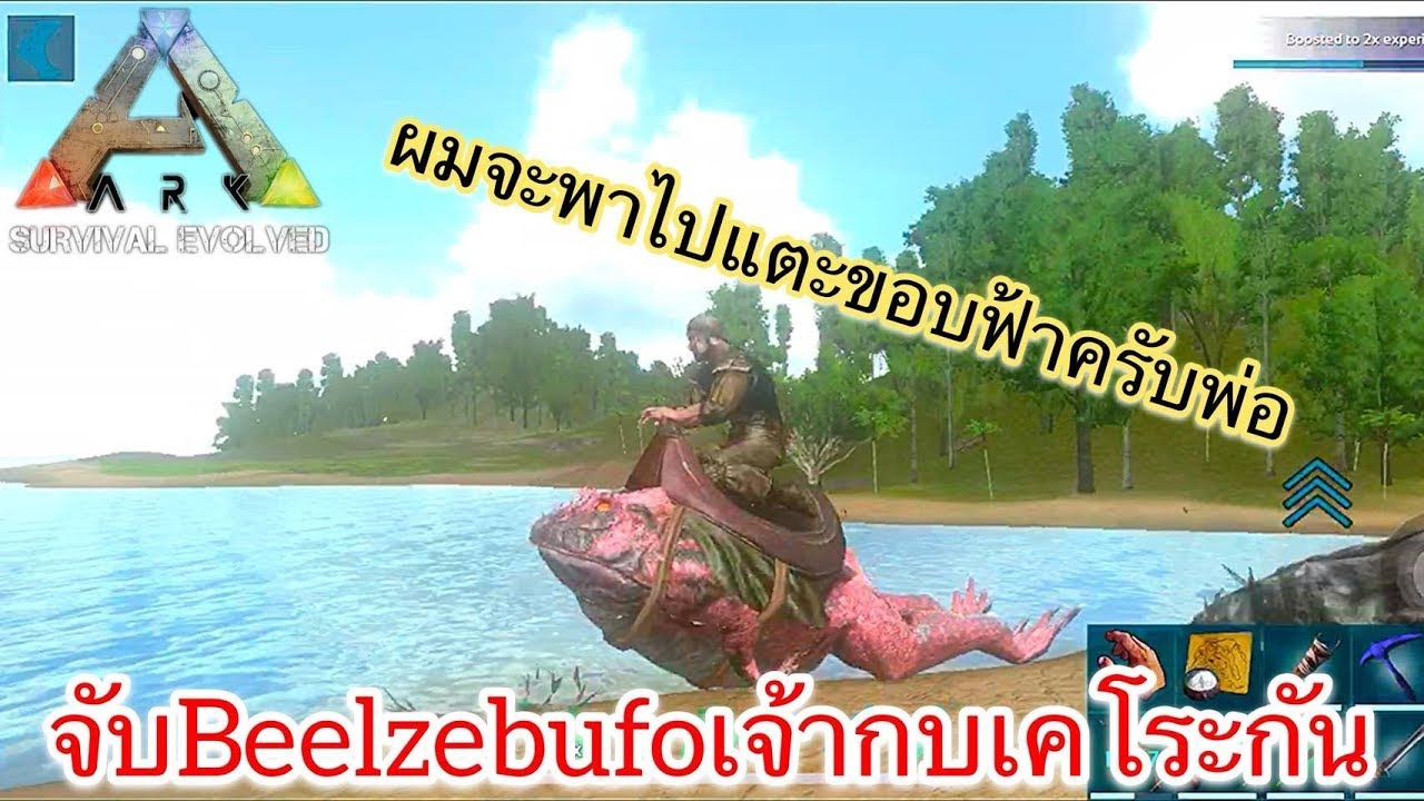 ARK Mobile มือถือ EP23 จับเจ้ากบเคโระกัน  [Beelzebufo Taming]