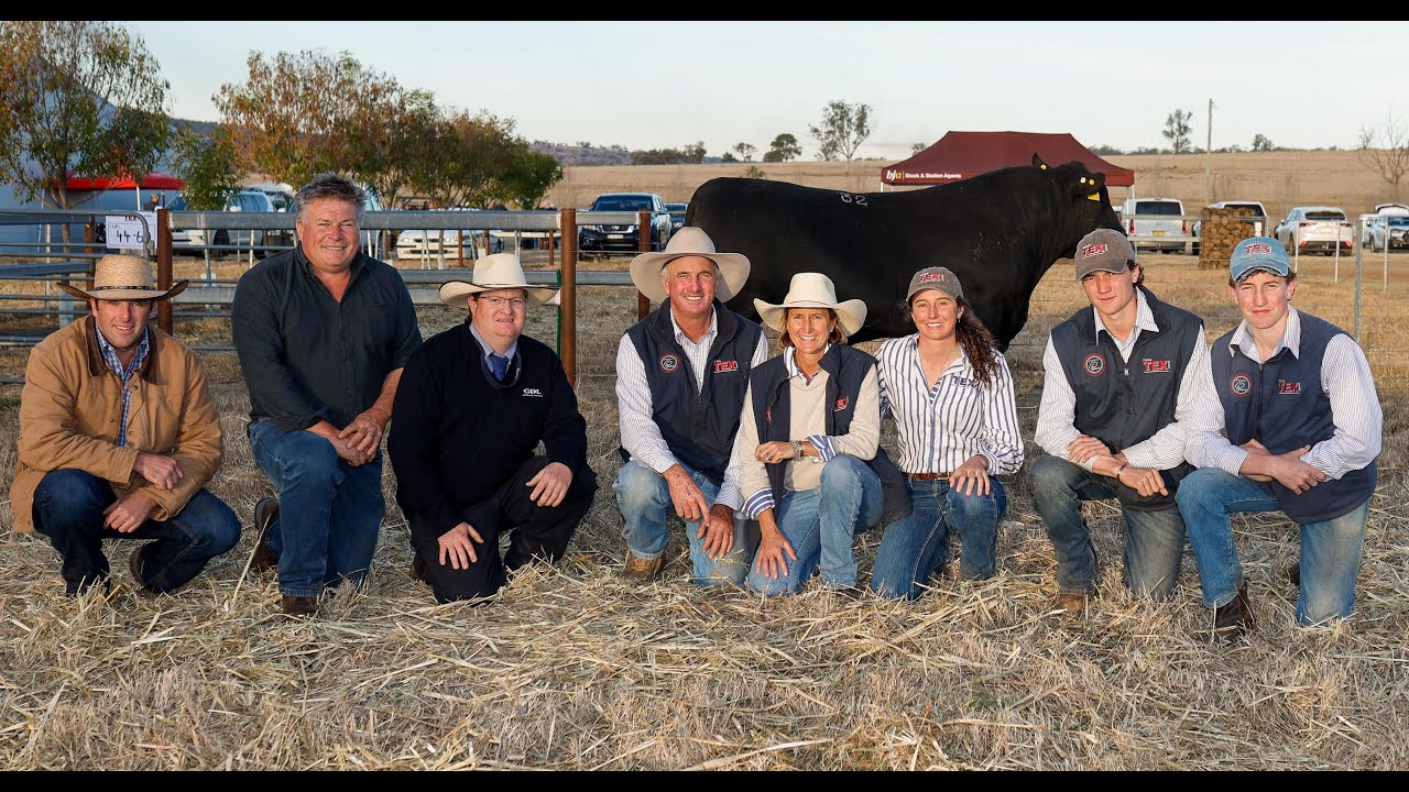 Texas Angus Bull Sale 2022