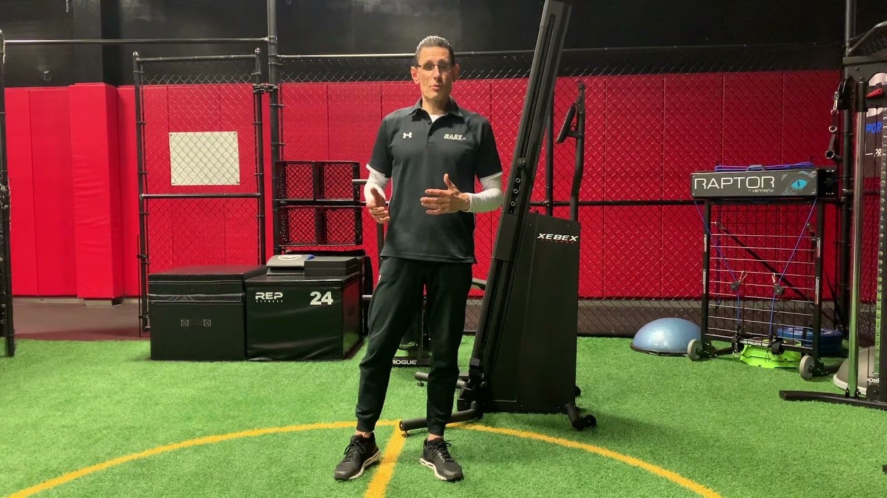 Xebex vertical climber review