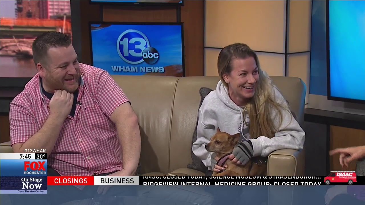 Jessimae Peluso on Good Day Rochester