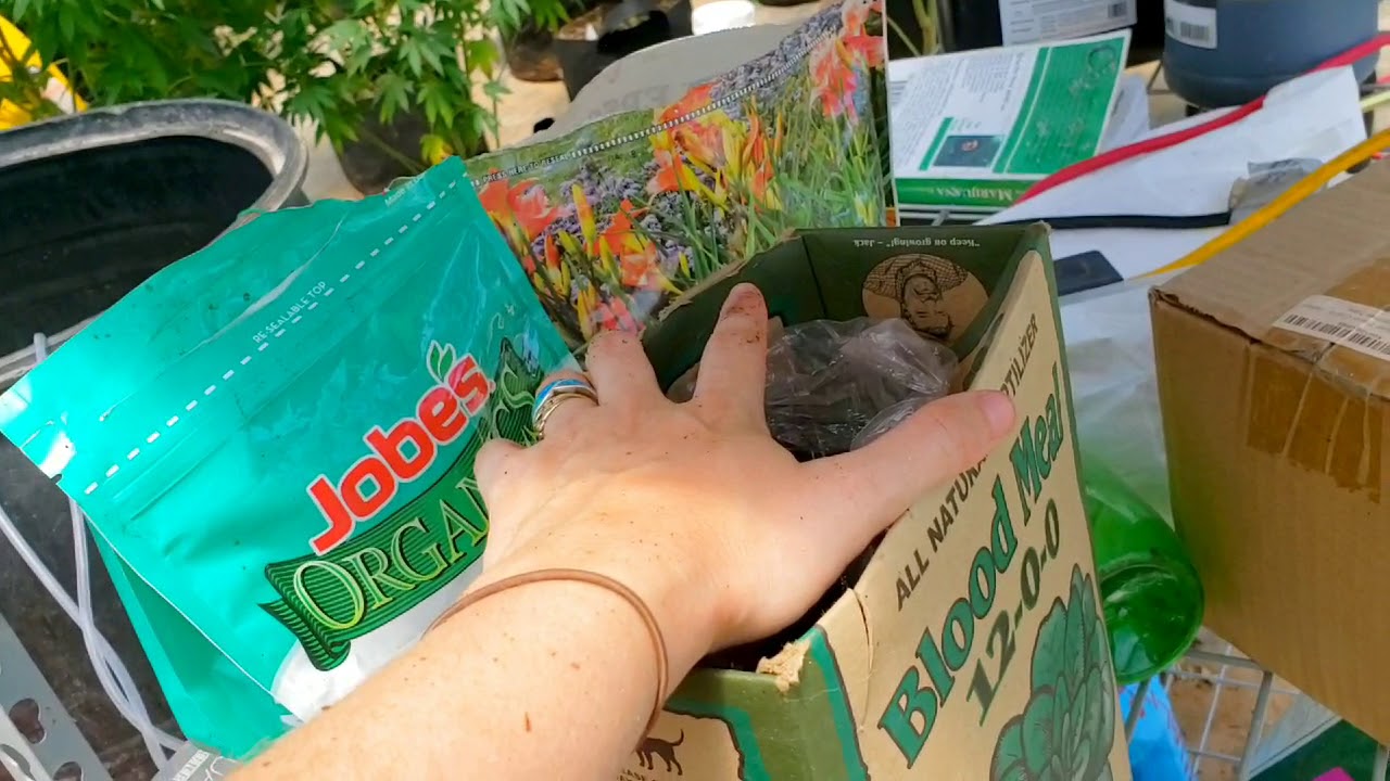 Compost Tea For Marijuana