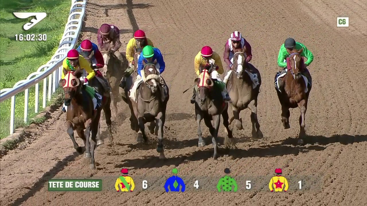 C6 GRAND PRIX DE S.A.R LE PRINCE MOULAY RACHID 16 03 2018 HIPPODROME ANFA