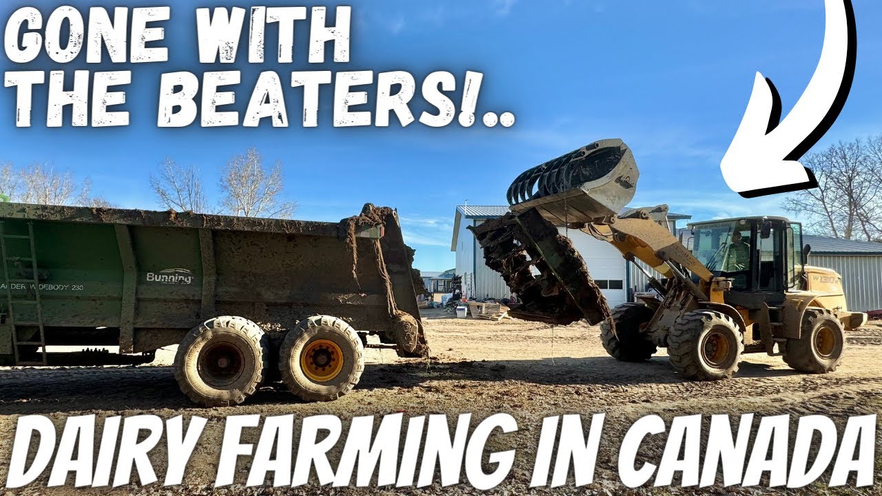 Меняем все!