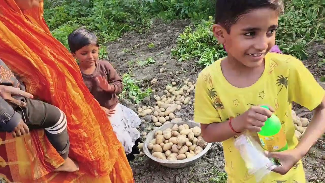 आज अम्मा और हम सबने मिलकर खेत से आलू निकले। Viral video, trending video
