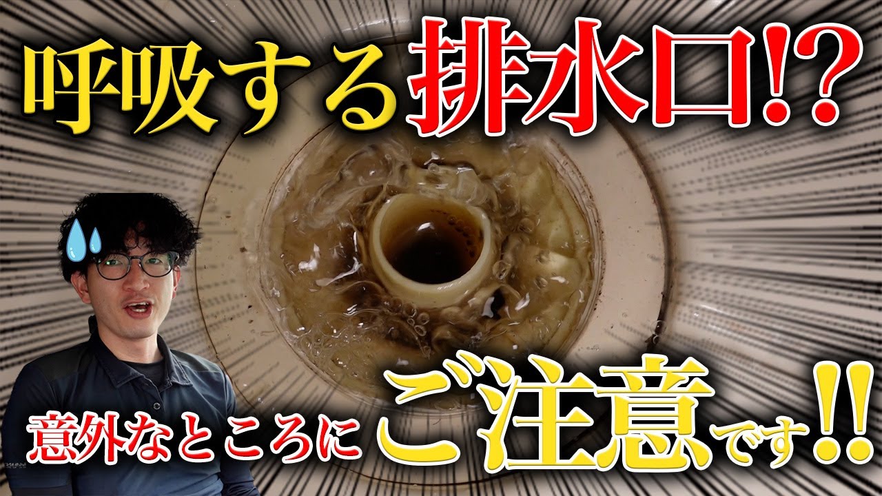 空気の逃げ場がない！？呼吸する排水口！！【花のお掃除 #158】