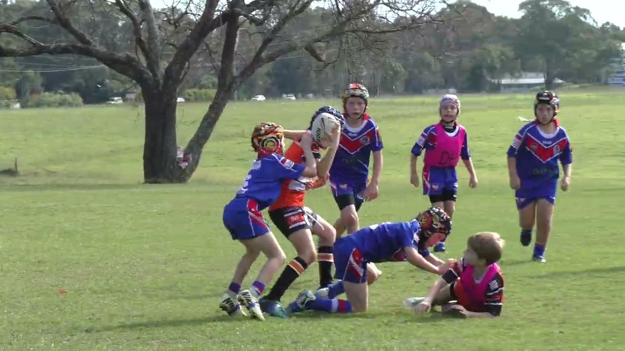 U9 Carina v Mustangs 26th May 2024