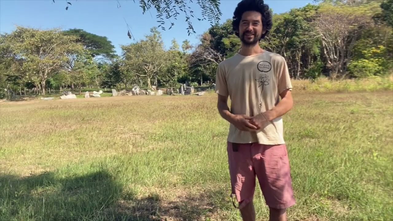 プラムビレッジの歩く瞑想「ウォーキング・メディテーション」Walking Meditation