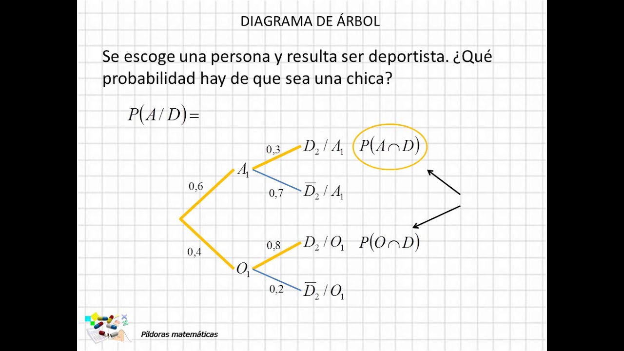 12 Diagrama de árbol II