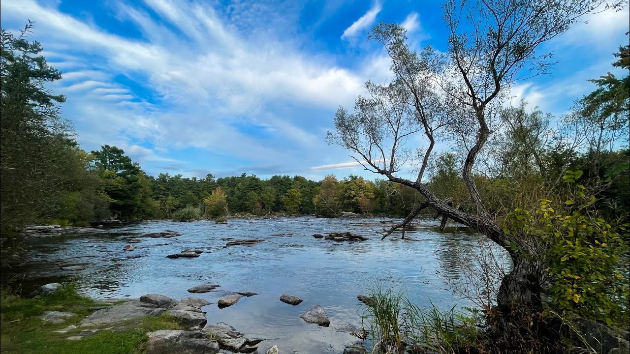 1 Hour Relaxing Brook Sounds with Birdsong | Nature Ambience for Stress Relief