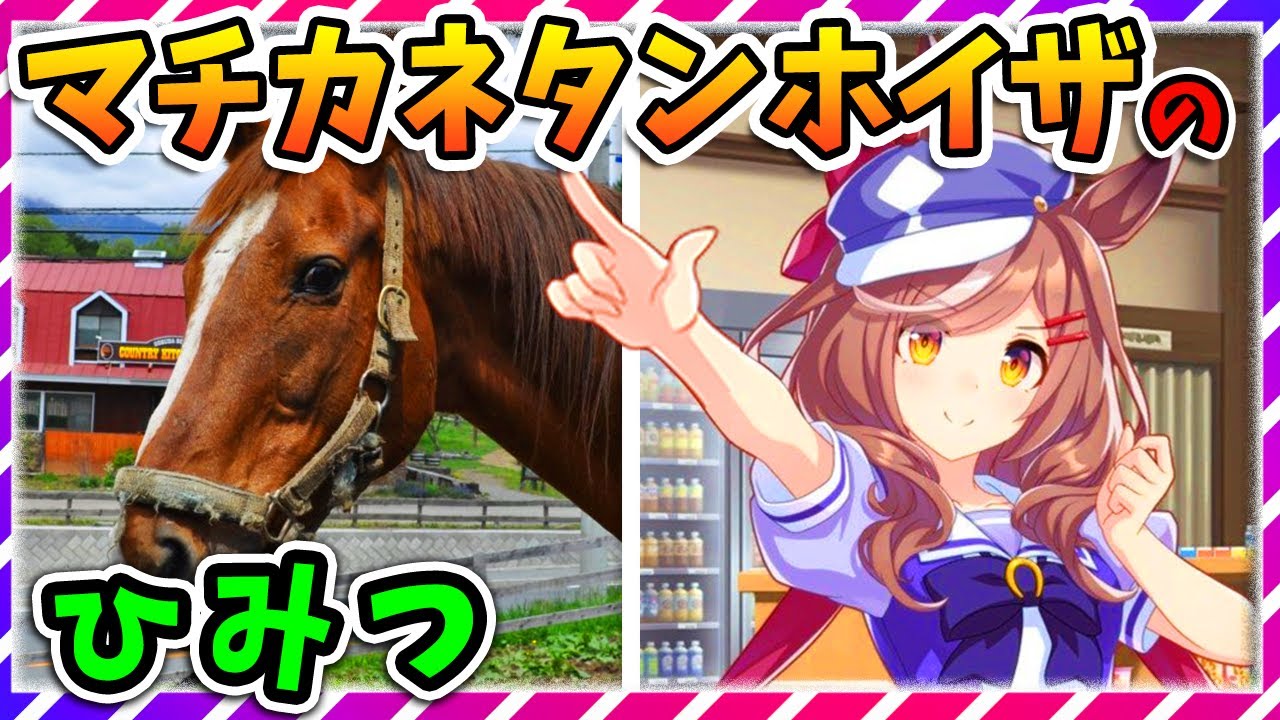 【ウマ娘 競馬】マチカネタンホイザの徹底解説！みんなで一緒にえいえいむんっ！【ゆっくり解説】
