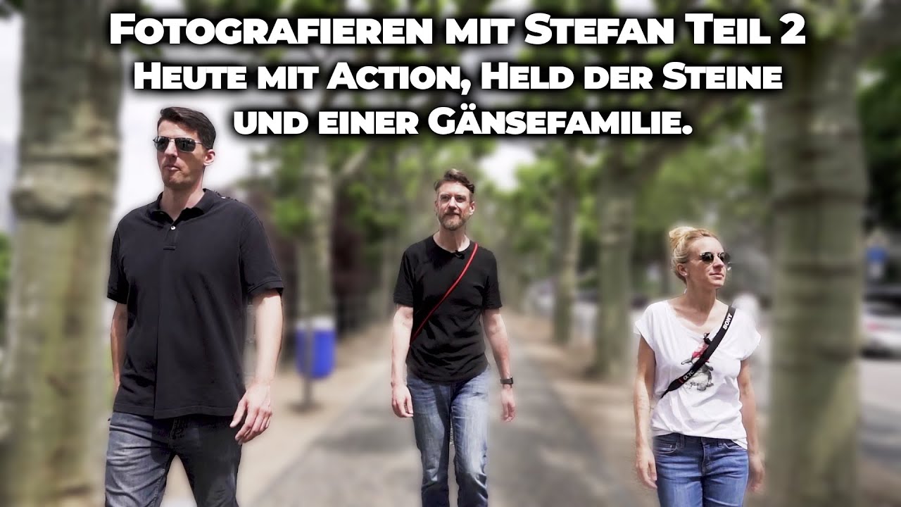 Fotografieren mit Stefan Teil 2 - Heute mit Action, Held der Steine und einer Gänsefamilie.