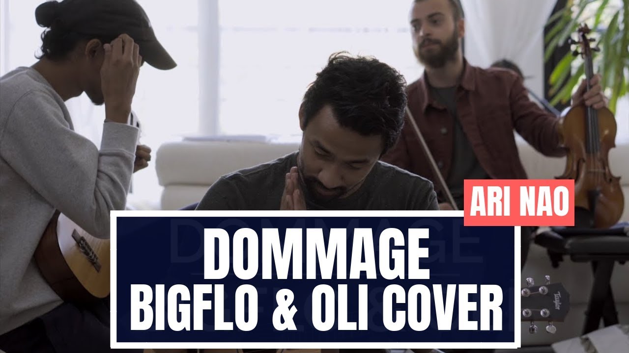 Bigflo & Oli - Dommage [COVER] - ARI NAO