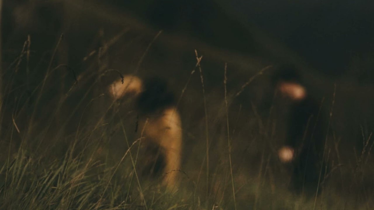 Ashley Kutcher - Survive On My Own (slowed + reverb)