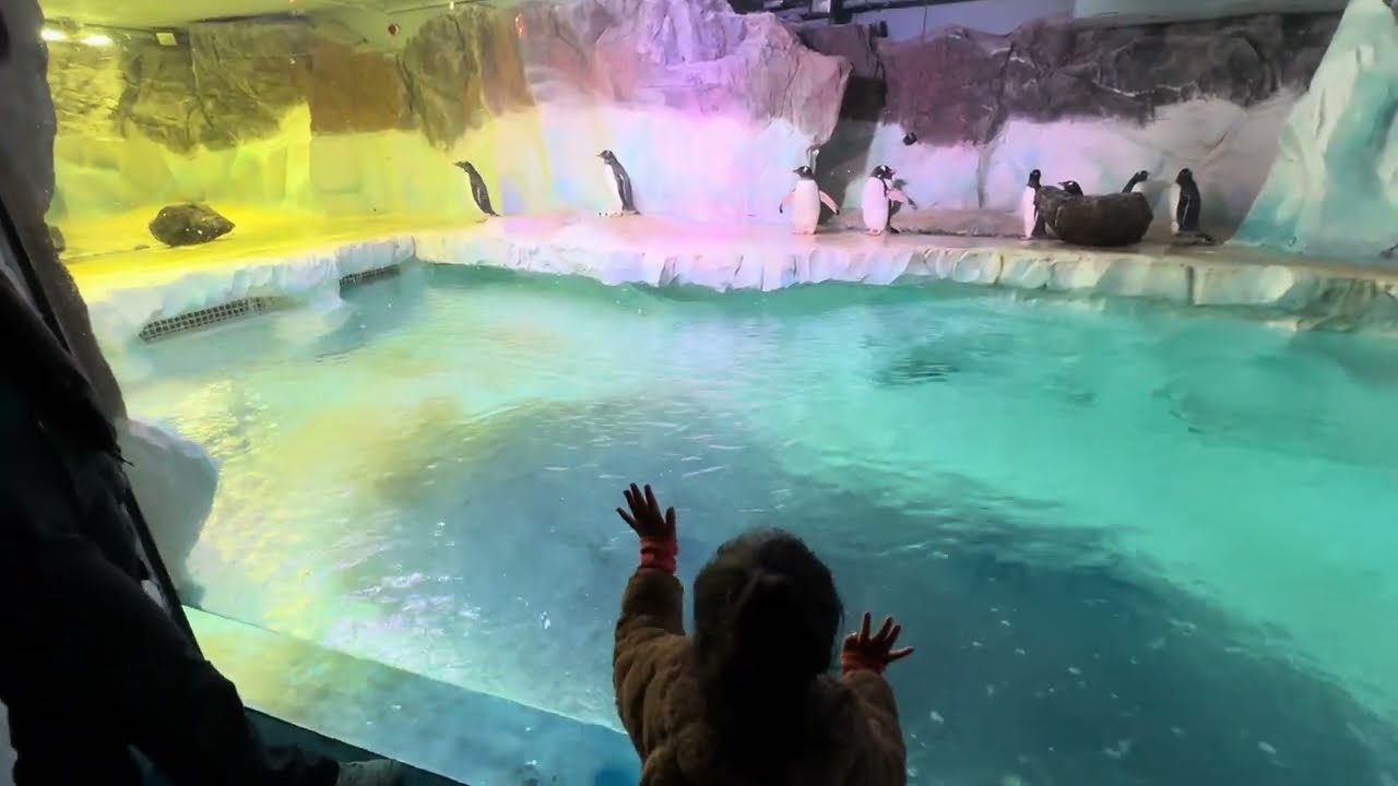 National SEA LIFE Centre Birmingham | Tour 2024 |