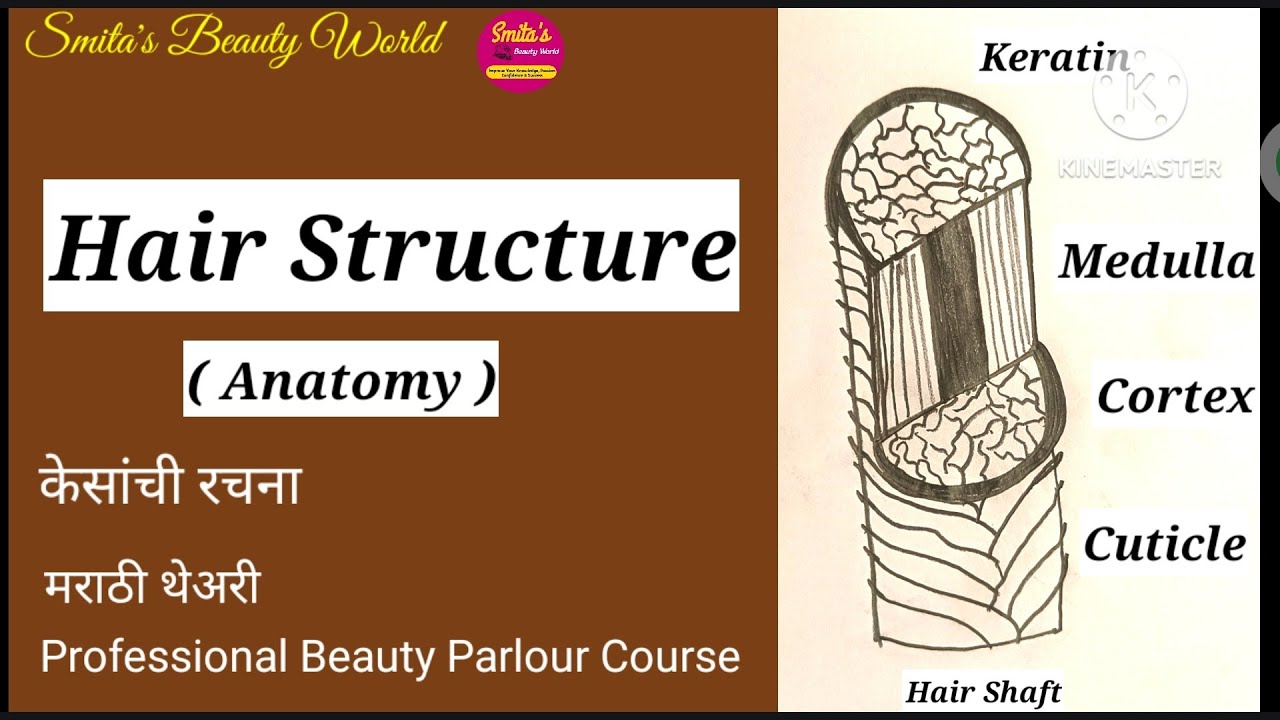 Hair Structure Theory For Begginers  केसांची रचना थेअरी इन मराठी Beauty Parlour Course in Marathi