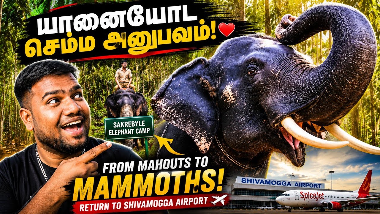 From Mahouts to Mammoths | Return To Shivamogga Airport | @JermanyAdventures 