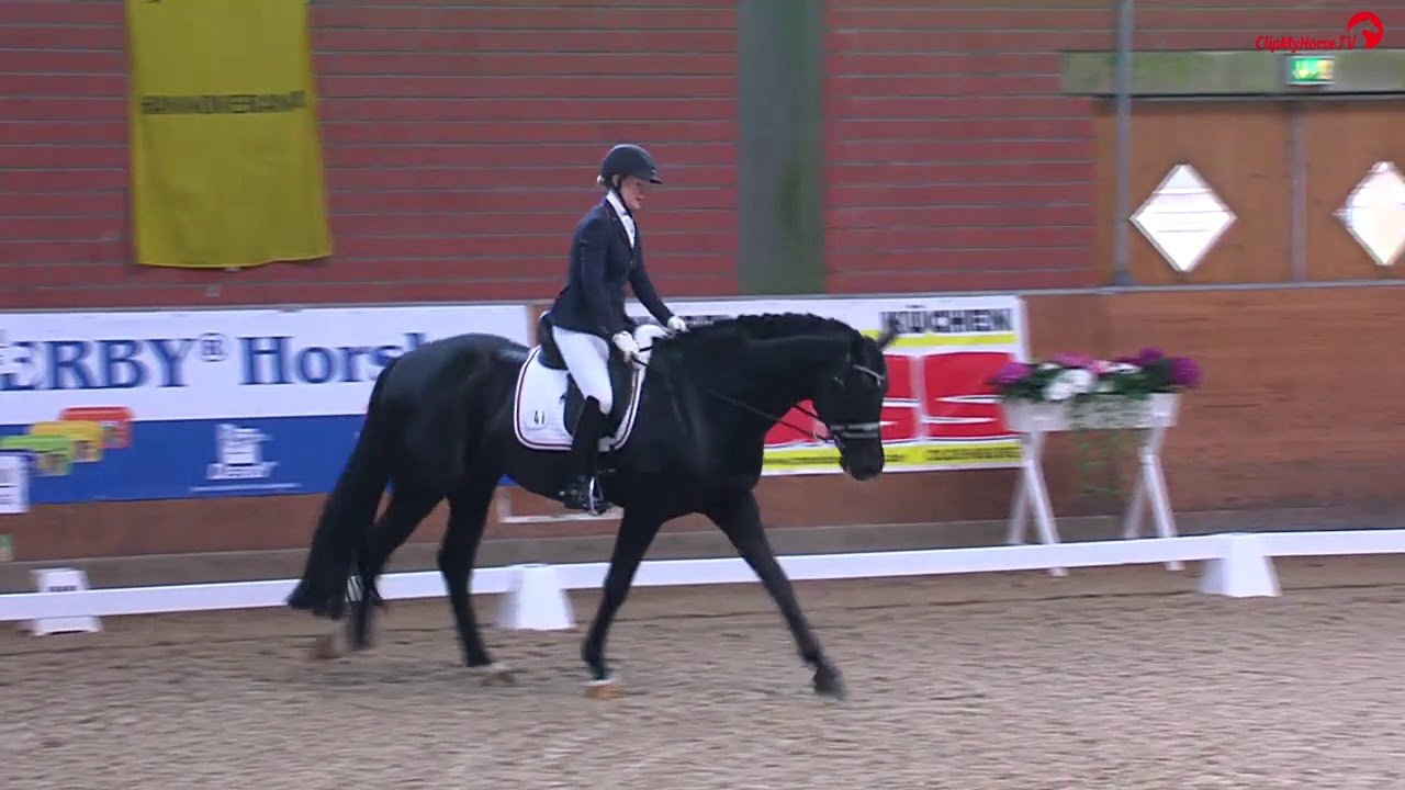 Dressurturnier Timmel | Jessica Andersson | Bon Coeur | Dressurpferdeprüfung Kl.M* |